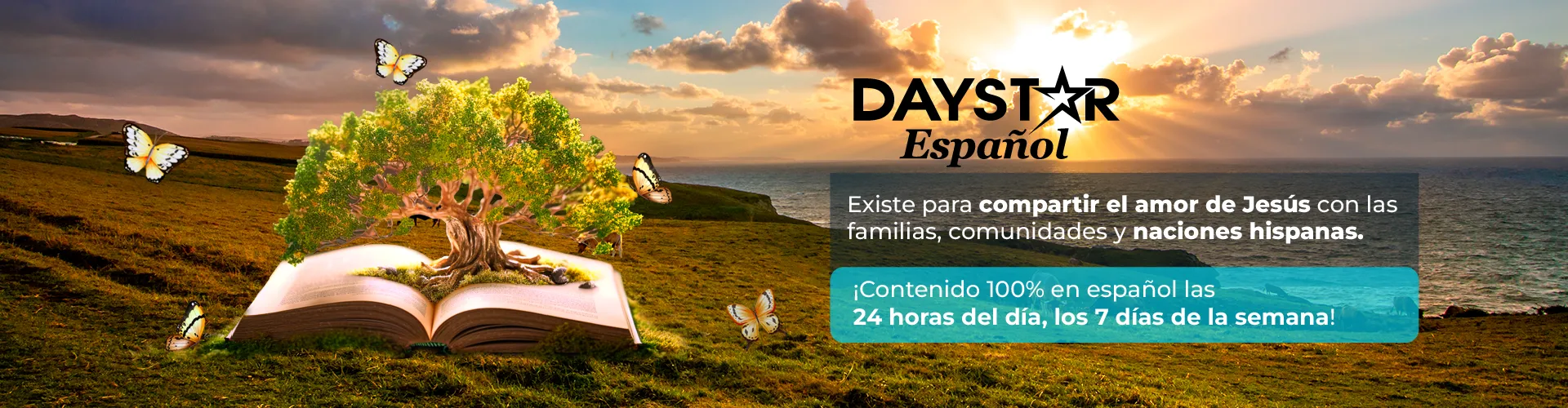  Day Star